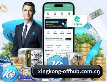 星空官网入口 APP